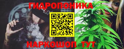 трава Анжеро-Судженск