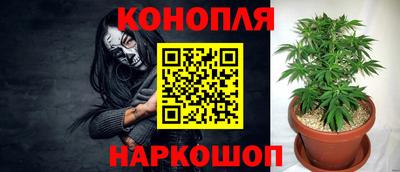 трава Анжеро-Судженск